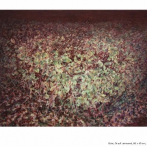 ManNa Lee, "Ecke"; 2007, Öl a.Lw, 60x80